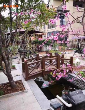 Nâng cấp sân vườn bằng cầu gỗ teak ngoài trời-CGN 009
